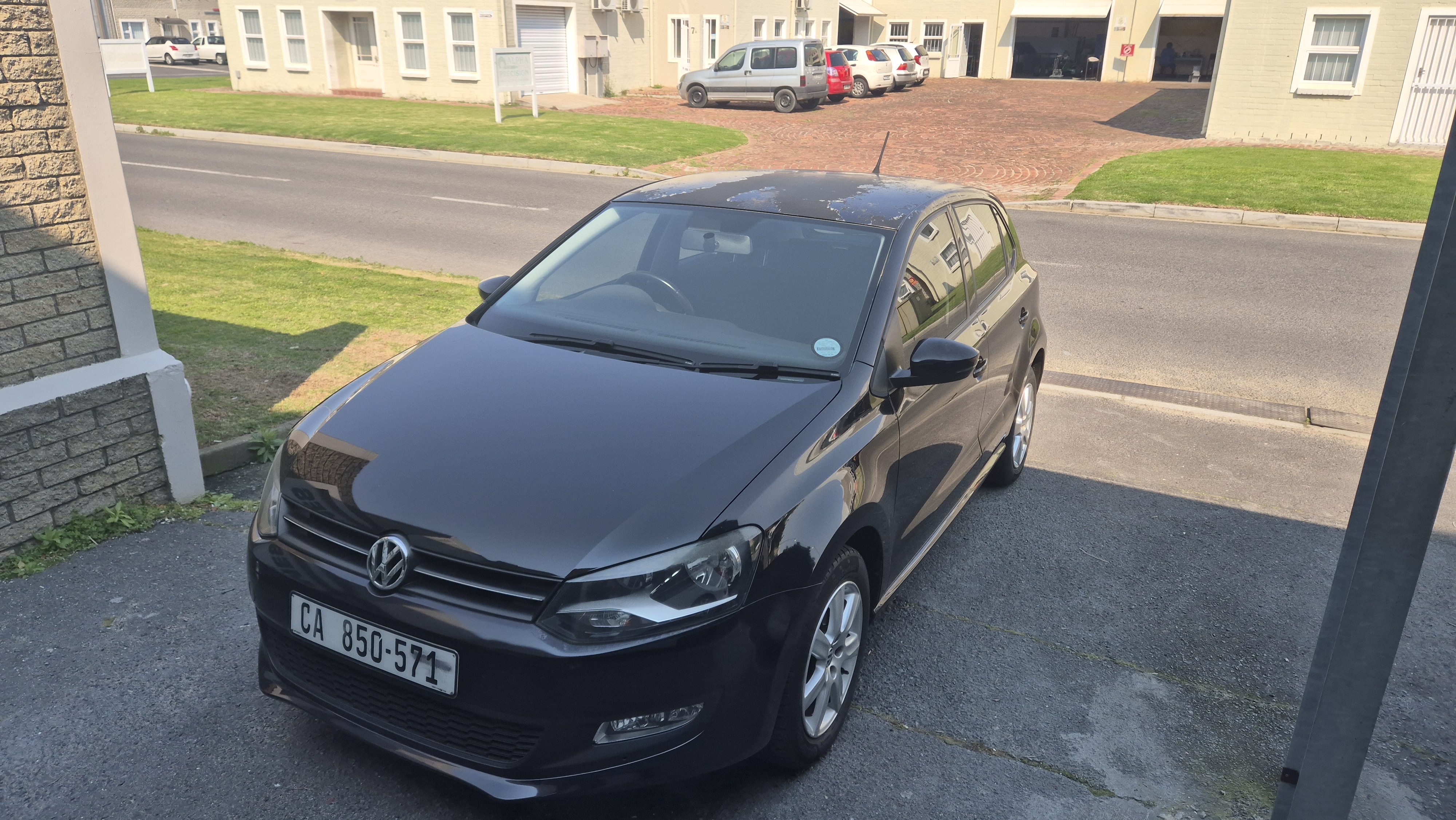 Polo Before